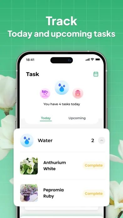 LeafSnap-Plant Identification Screenshots