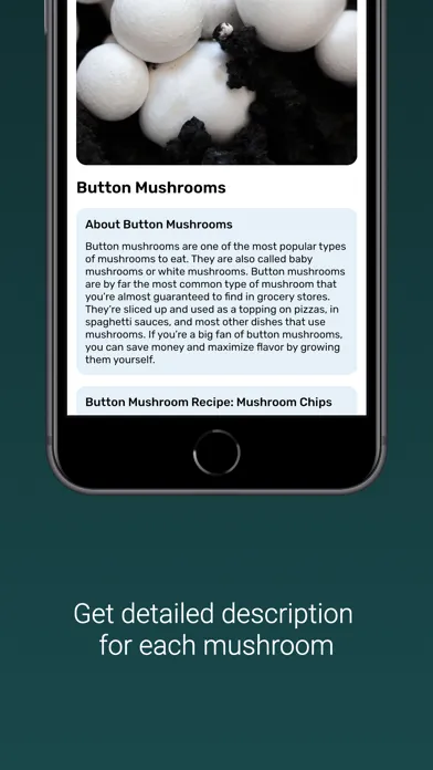 Capturas de tela do Mushroom Identifier