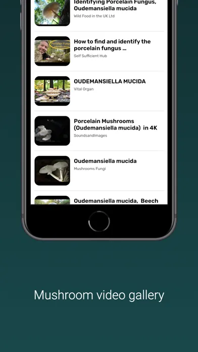 Capturas de tela do Mushroom Identifier