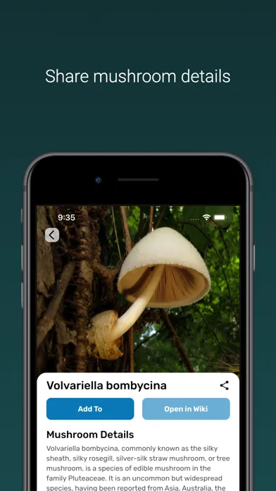 Capturas de tela do Mushroom Identifier