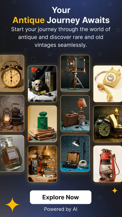 Скриншоты Antique AI: Antique Identifier