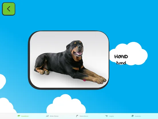 Capturas de tela do ABC for kids NL iPad 
