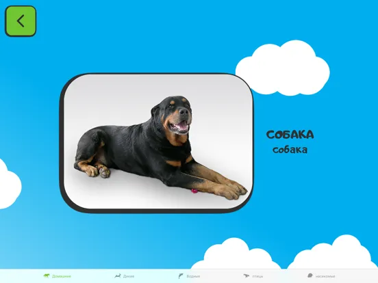 Screenshot di ABC for kids RU iPad 