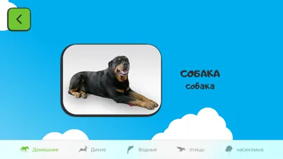 Screenshot di ABC for kids RU