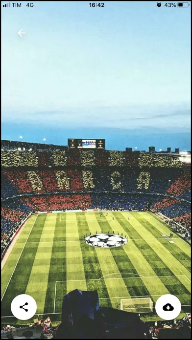 Capturas de tela do Footpaper - Soccer Wallpapers