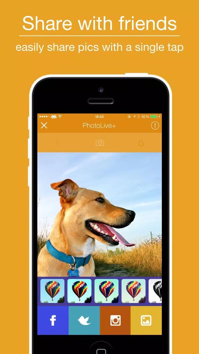 Скриншоты PhotoLive+