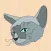 Fortune-telling cats