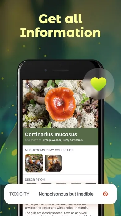 Tangkapan skrin Mushroom Identifier & Finder