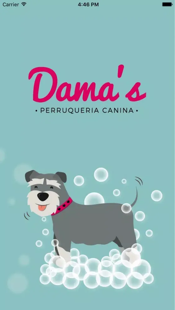 Dama's Perruqueria canina স্ক্রিনশট