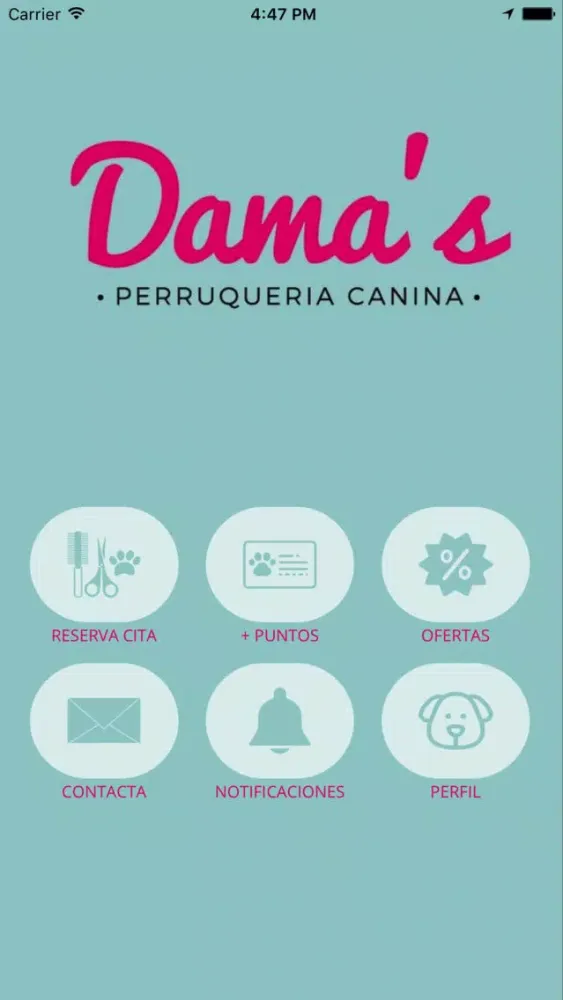 Dama's Perruqueria canina স্ক্রিনশট