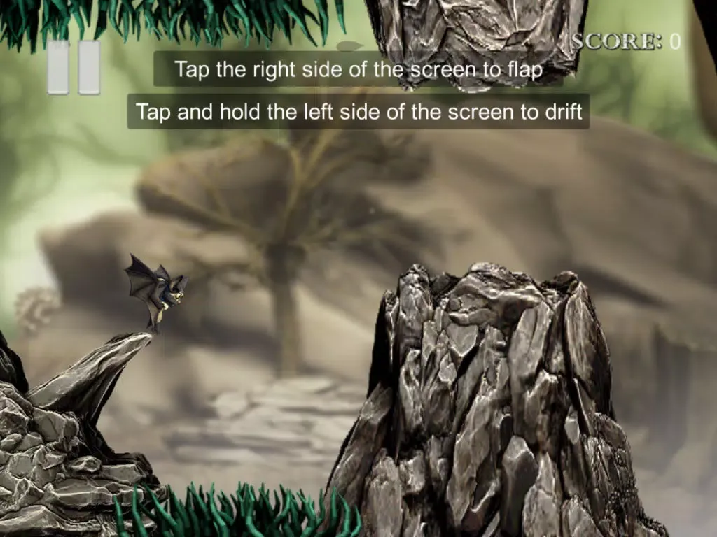 Bizarre Forest iPad 应用截图