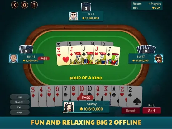 Big 2 - Pusoy Dos Offline iPad  Screenshots