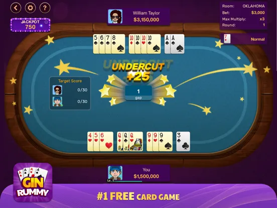 Gin Rummy: Offline Game iPad  سکرین شاٹس