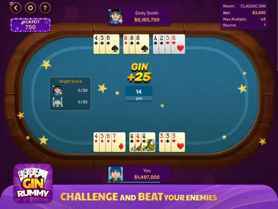 Gin Rummy: Offline Game iPad  سکرین شاٹس