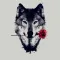 Wolf Wallpapers - Backgrounds