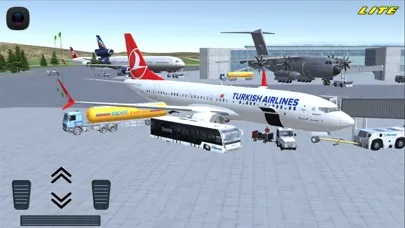 Tangkapan skrin Flight 737 - Maximum LITE