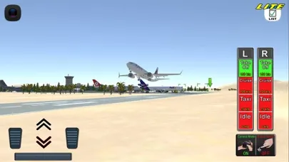 Tangkapan skrin Flight 737 - Maximum LITE