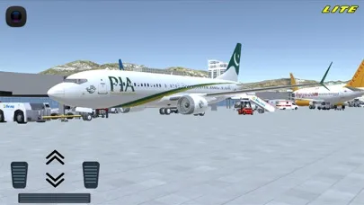 Tangkapan skrin Flight 737 - Maximum LITE