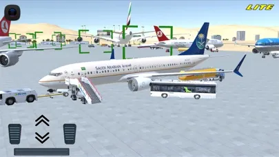 Tangkapan skrin Flight 737 - Maximum LITE