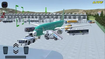Tangkapan skrin Flight 737 - Maximum LITE