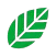 Krashak