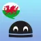 Welsh Verbs - LearnBots Pro.