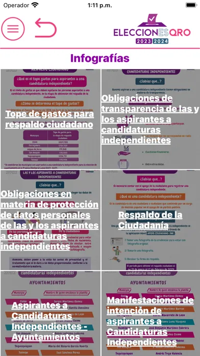 EleccionesQro 2024应用截图