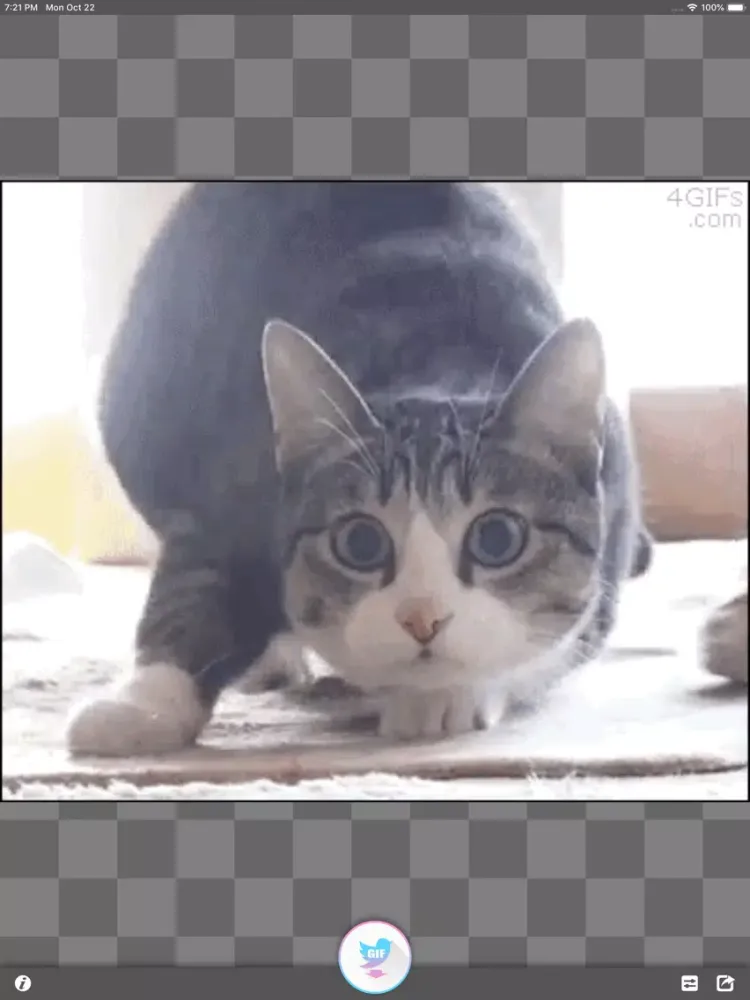 تصاویر GIF Grabber for Twitter™ iPad 