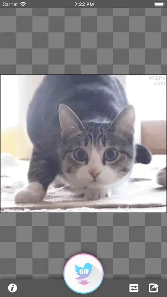 تصاویر GIF Grabber for Twitter™