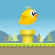 Idiot Bird