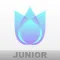 Blur.Depth Jr.