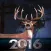 Bow Hunter 2016