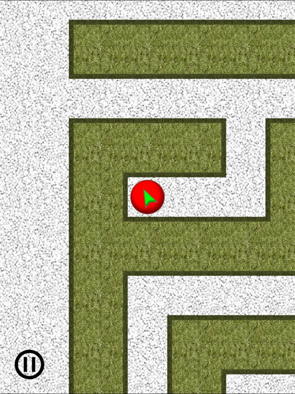 صور Exit Blind Maze Labyrinth iPad 