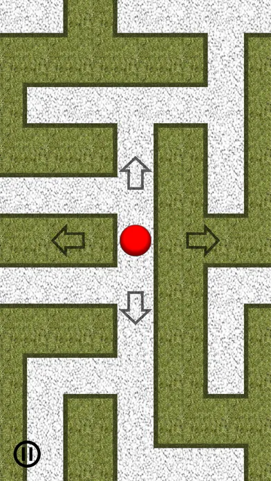 صور Exit Blind Maze Labyrinth