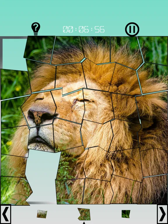 Tangkapan skrin Images 15 Puzzles iPad 