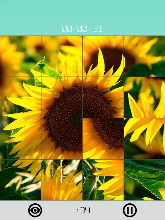 Tangkapan skrin Images 15 Puzzles iPad 
