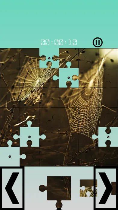 Tangkapan skrin Images 15 Puzzles