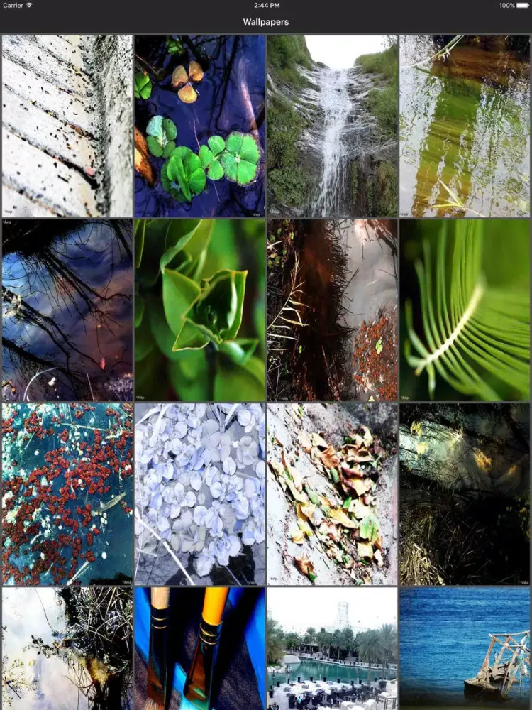 Photo Collection Walls iPad  স্ক্রিনশট