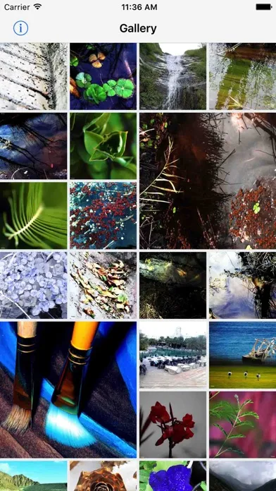 HD Photo Walls Screenshots