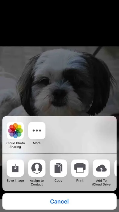HD Photo Walls Screenshots