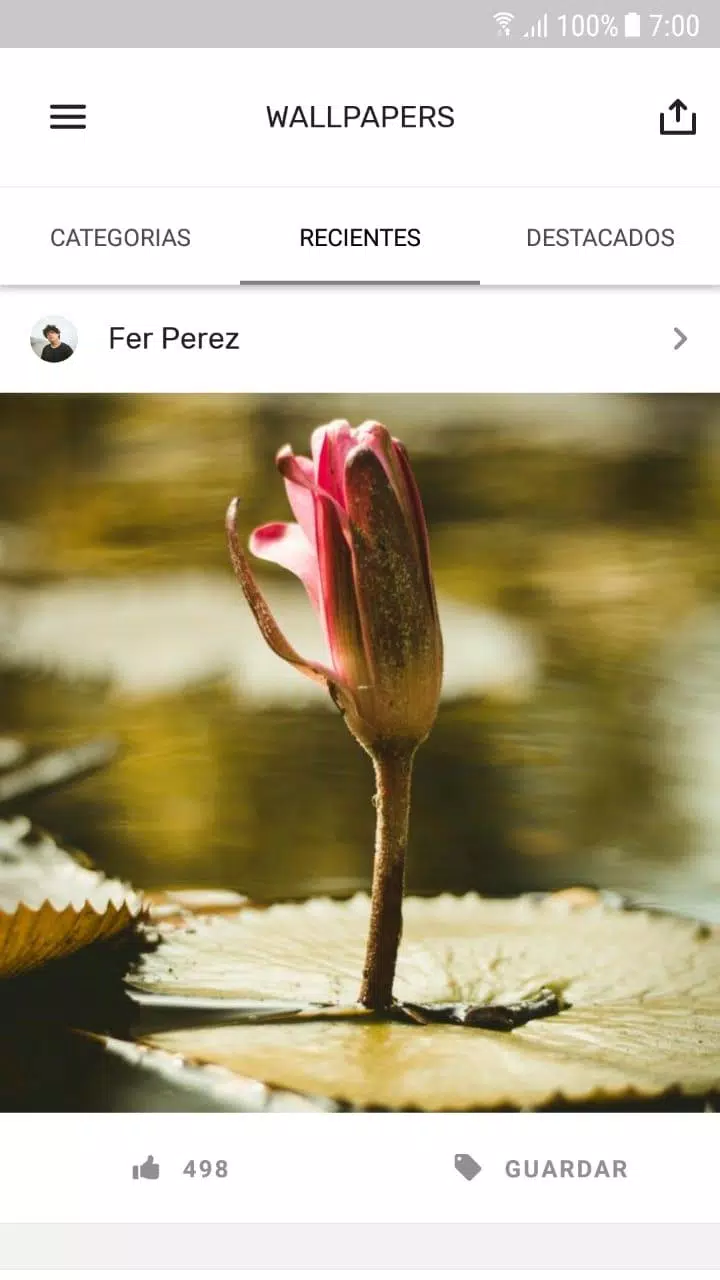 Wallpapers Screenshots
