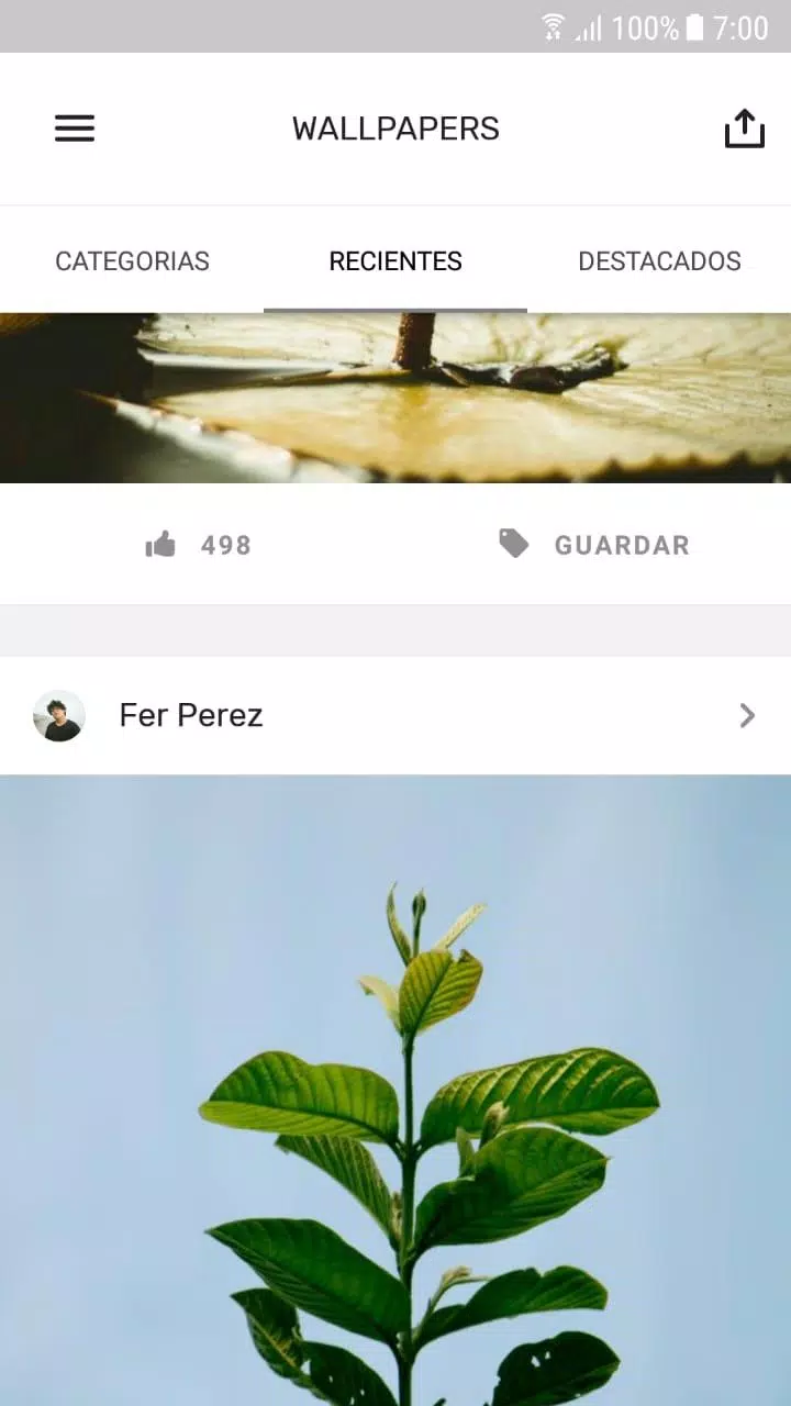 Wallpapers Screenshots