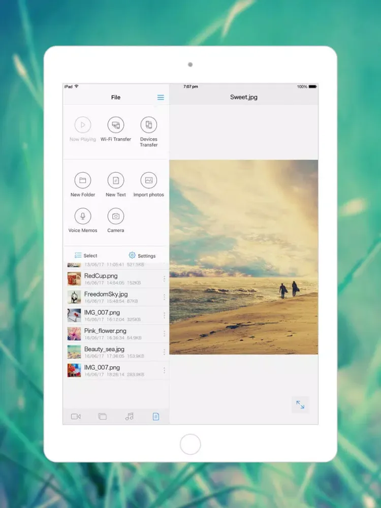 Tangkapan skrin File Express HD : Versatile File Manager & Video Player + Fast PDF reader iPad 