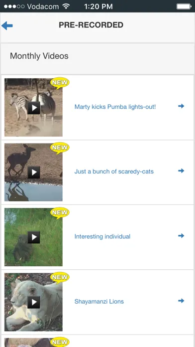 Leopard.tv Wildlife magazine Screenshots