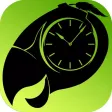 Green Game TimeSwapper Green Game TimeSwapper