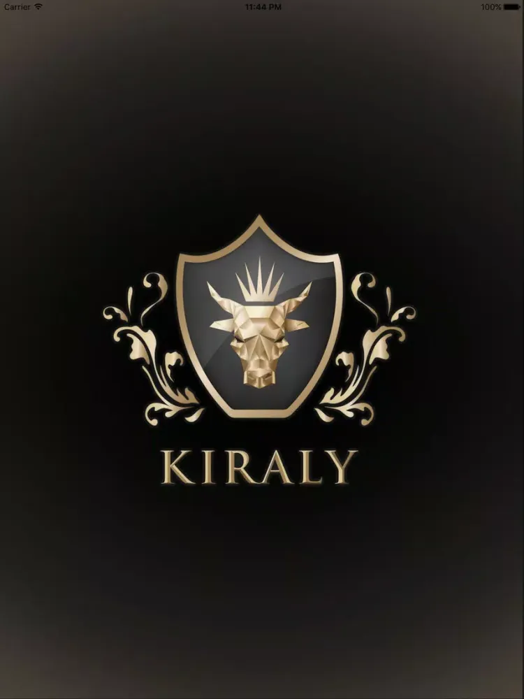 Tangkapan skrin Kiraly Admin iPad 