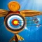 Archery Training Match