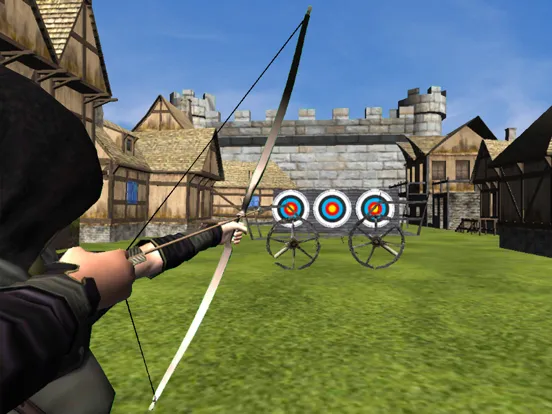 Archery Training Match iPad  স্ক্রিনশট