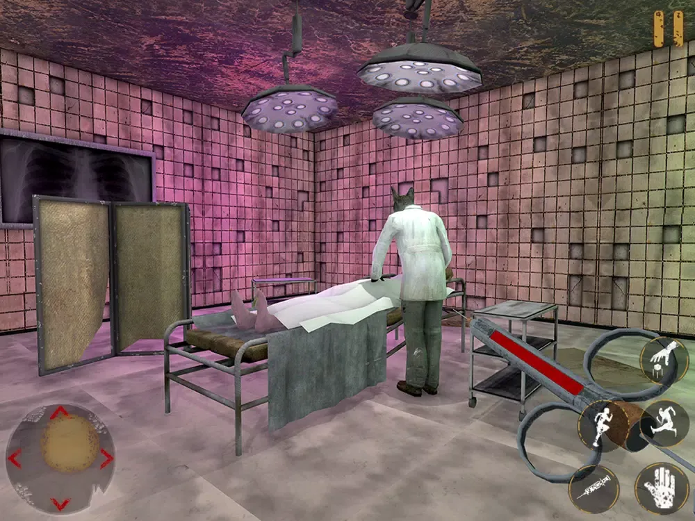 Dr Doggy Hospital simulator iPad  Ekran Görüntüleri