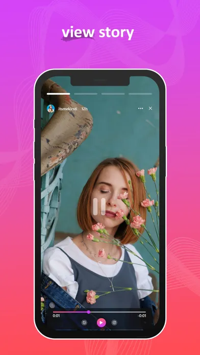 InstSaver স্ক্রিনশট
